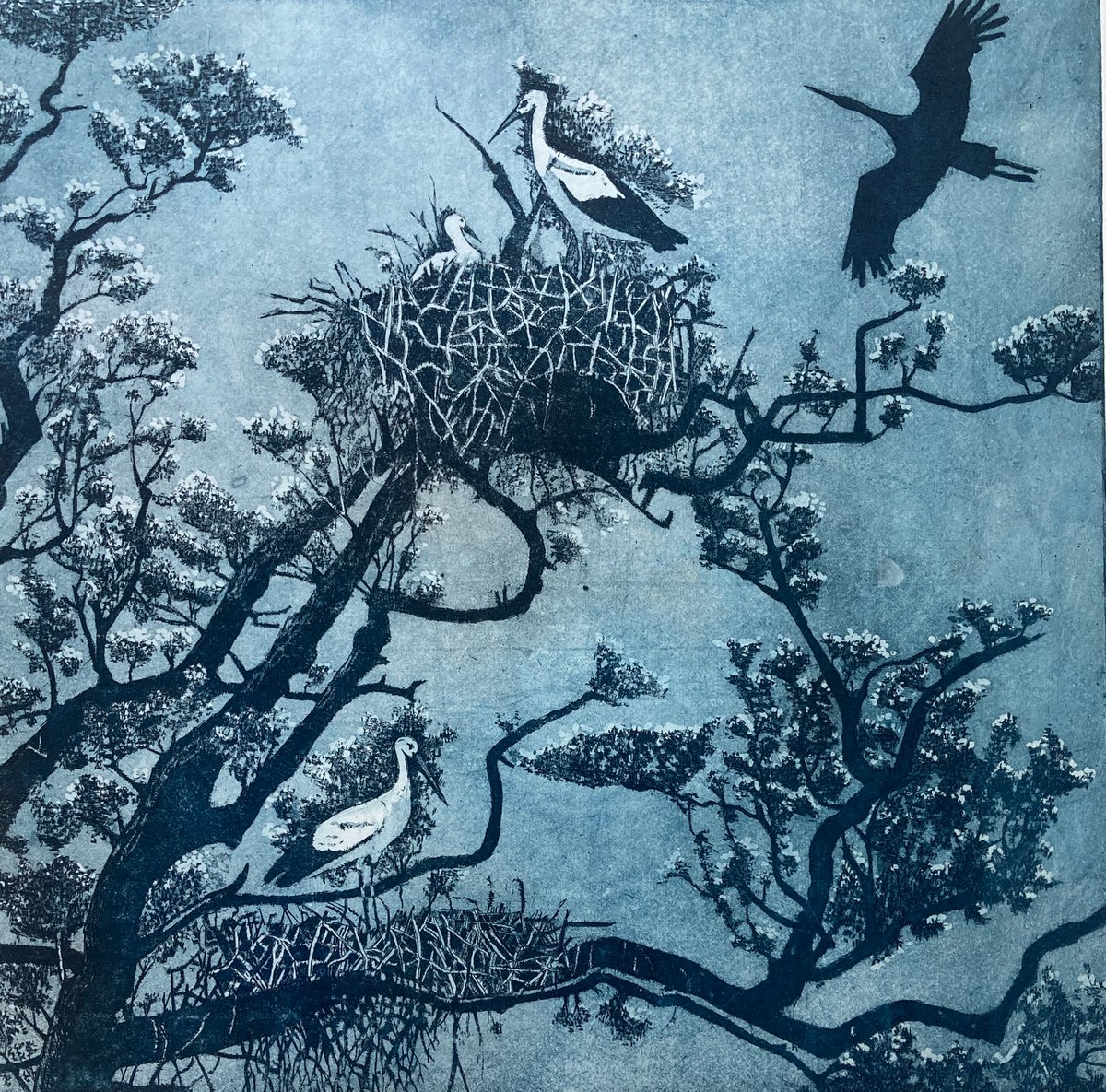 Etchings & Engravings , The Good Companions By Janis Goodman, 16 X 16, Artwork For Sale On Artfinder