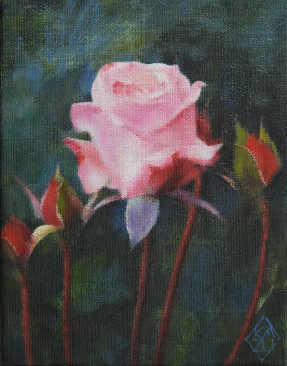 Roses and the Stream of Time