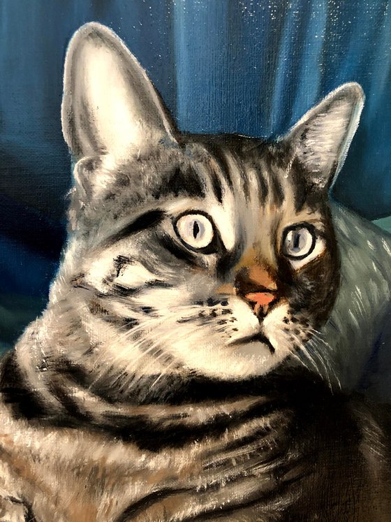 Intense Curiosity - Oil Cat Portrait