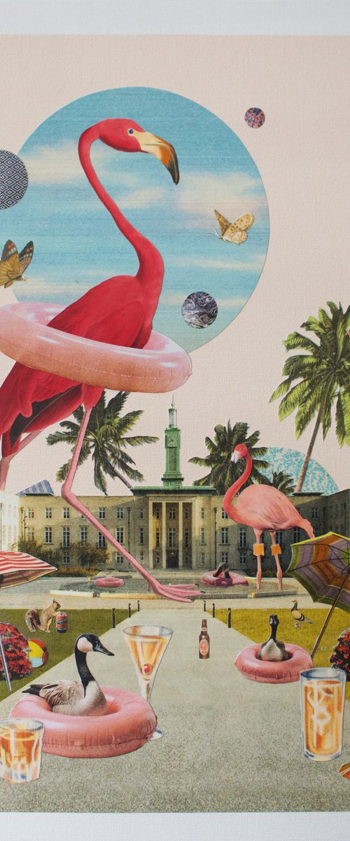 Birds In Paradise by Angus Vine