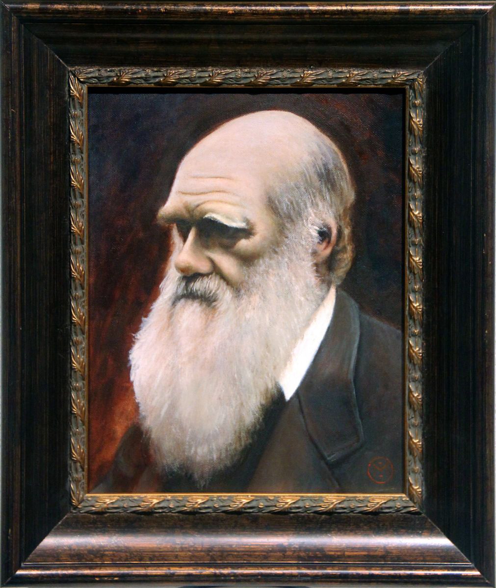 Charles Darwin Oil Painting By Alan Markov Artfinder