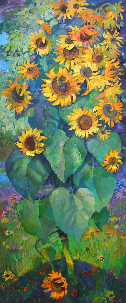 Summer with sunflower by Anastasiia Grygorieva