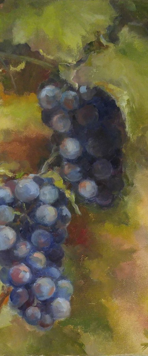Grapes 2 11x14'' by Alexander Koltakov