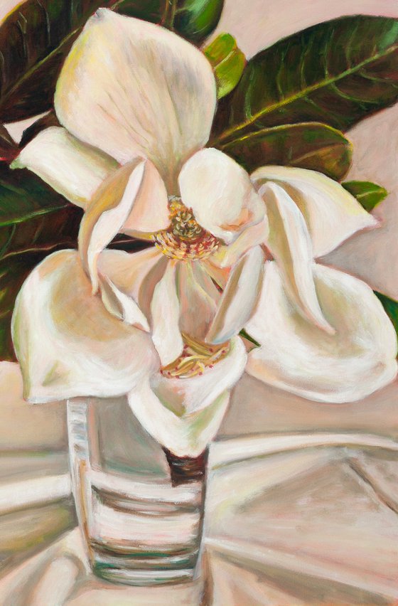 Magnolia Grandiflora