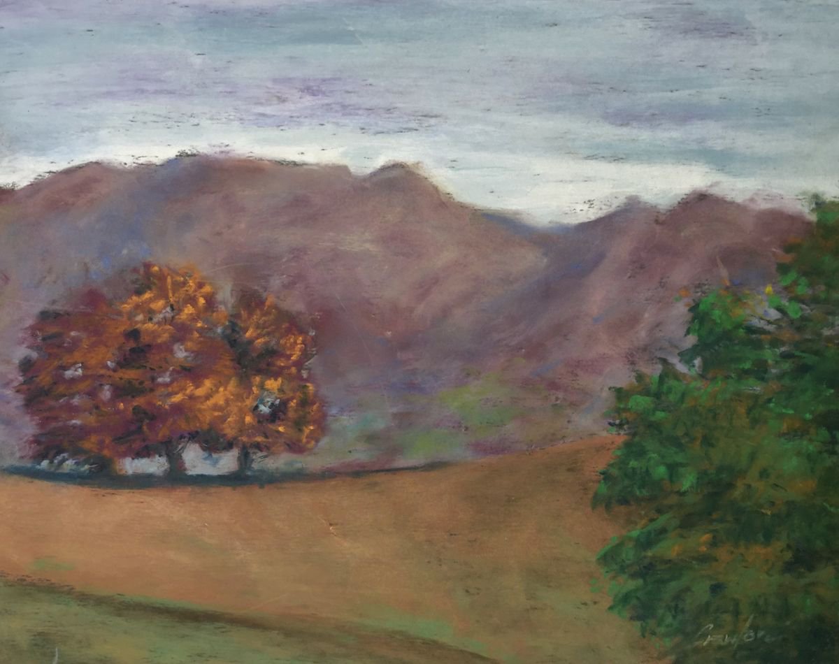 Autumn trees by Caroline Crawford