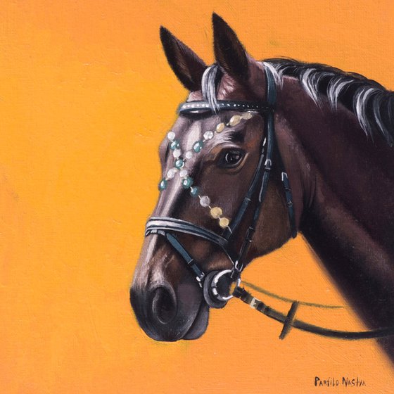 Horse Portrait 44