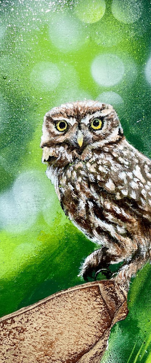Bird #3 (owl) by Selene's Art