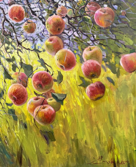 Apple Tree in Summer