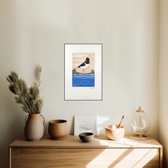 Oystercatcher