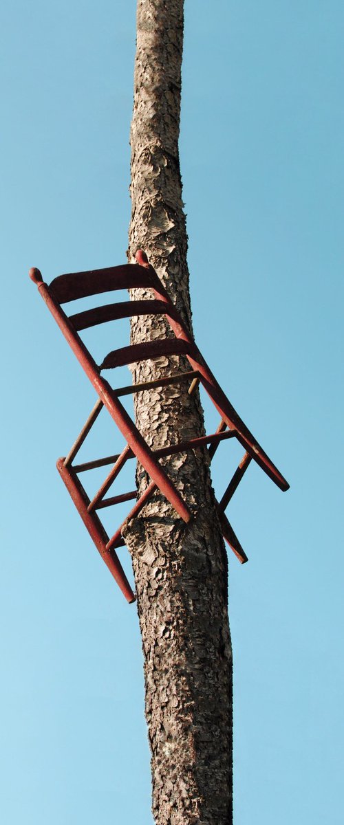 Chair in a tree by Marcus Cederberg