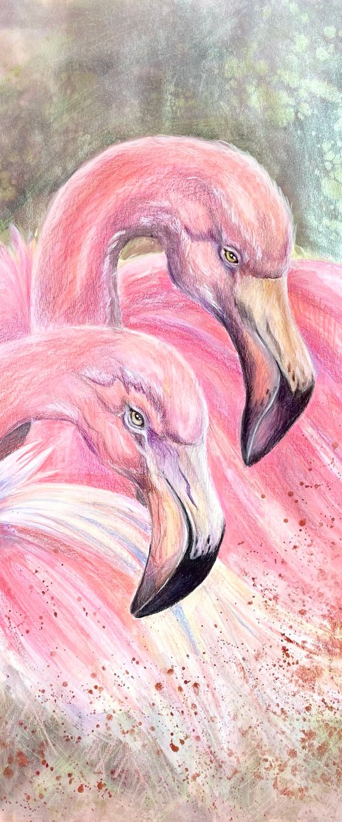 Flamingo couple by Ksenia Lutsenko