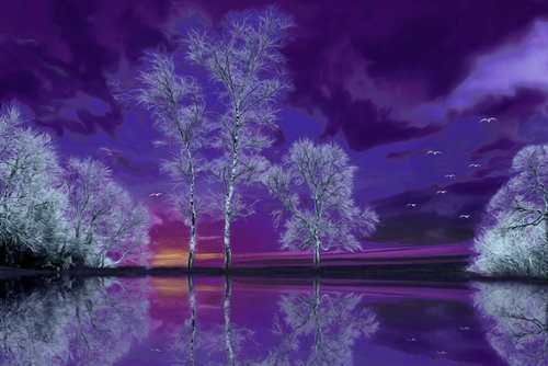Purple Reflection by Dr Martín Raskovsky
