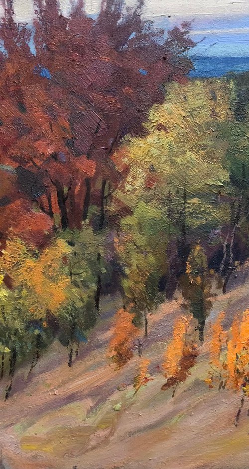 Autumn morning by Sergey Kachin