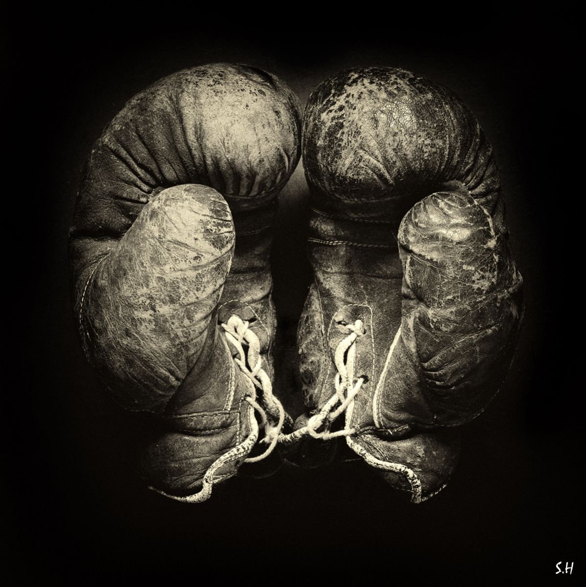 Leather Boxing Gloves - Sepia by Stephen Hodgetts Photography