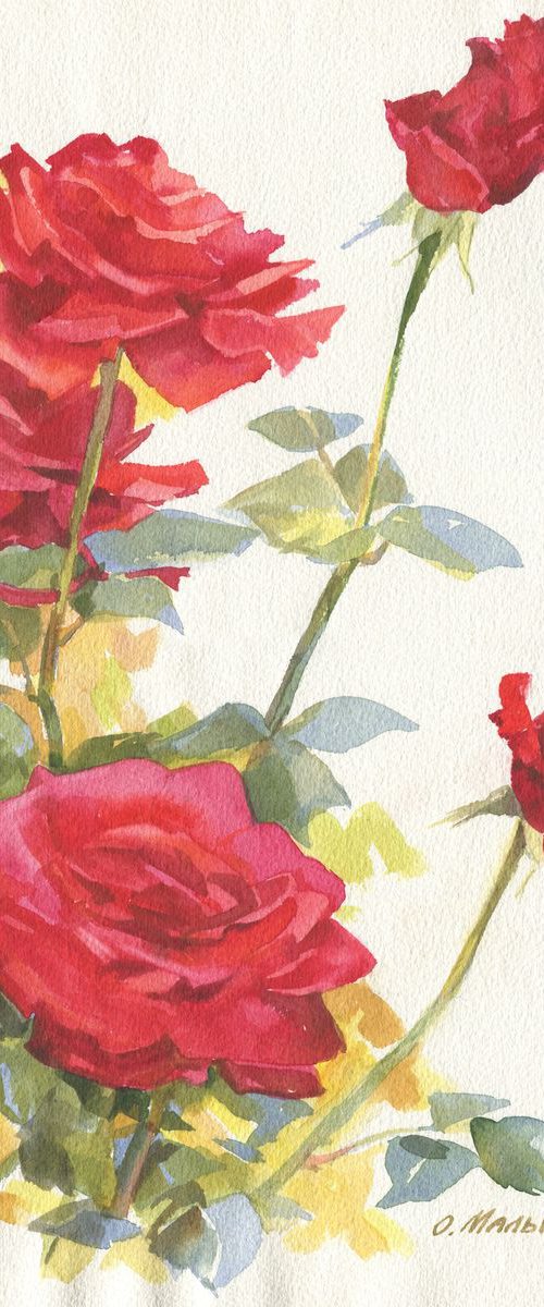 Red roses / ORIGINAL watercolor 11x15in (28x38cm) by Olha Malko