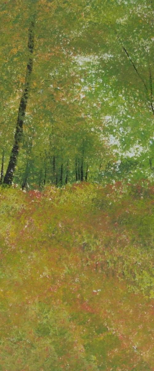 Waggoners Wells, Hampshire 2 by Jan Rippingham