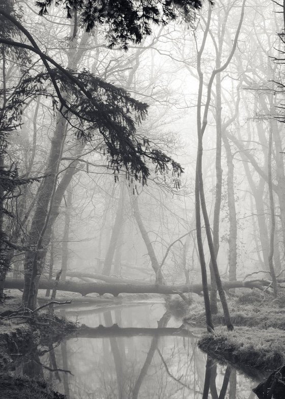 Giacometti trees