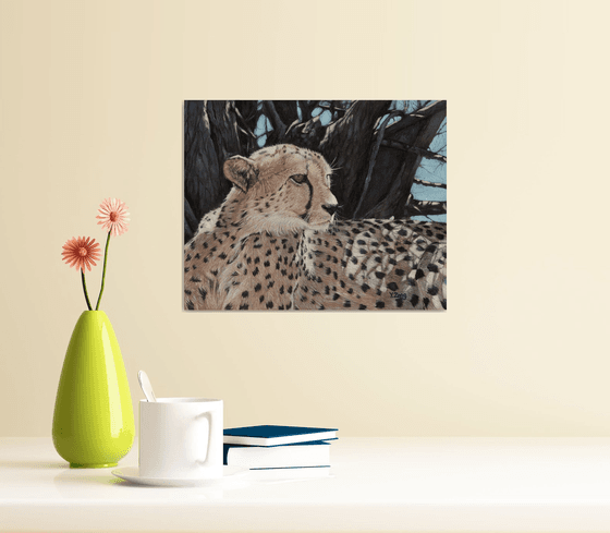 Cheetah portrait