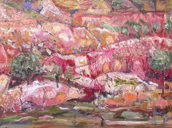 FLINDERS RANGES 3