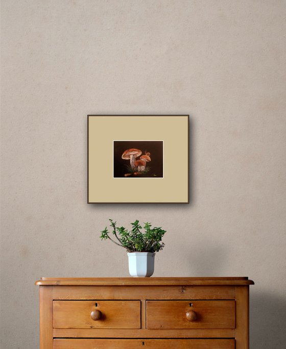 Family of mushrooms at Dusk