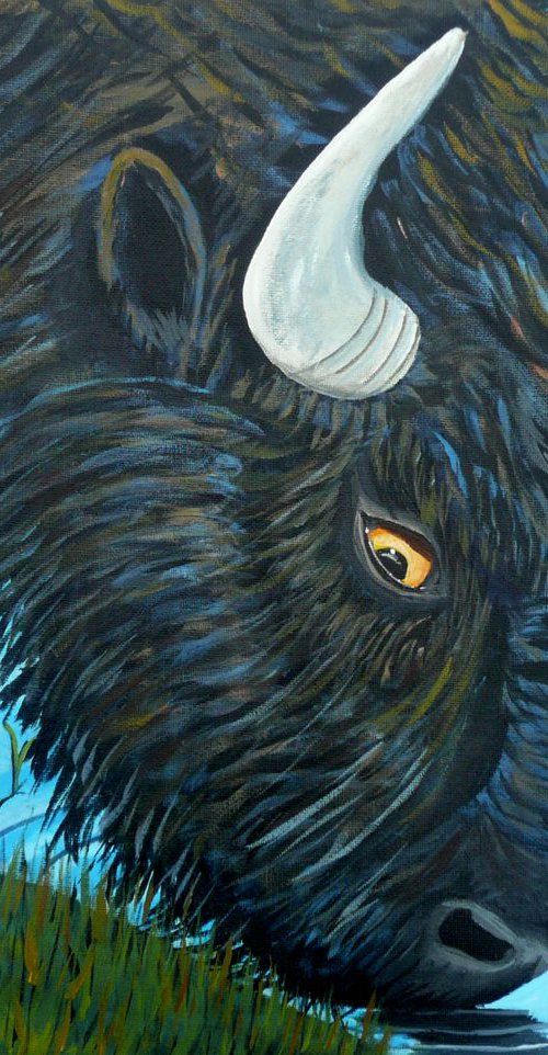 Shaggy Bison by Dunphy Fine Art