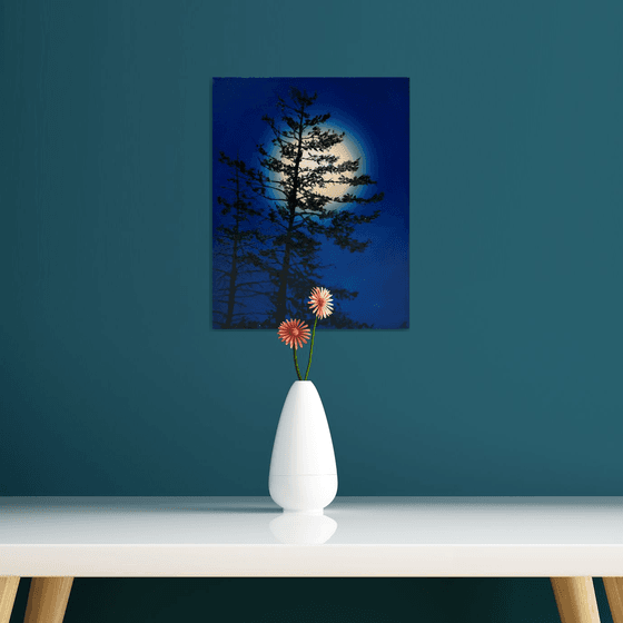 Nocturnal Pines