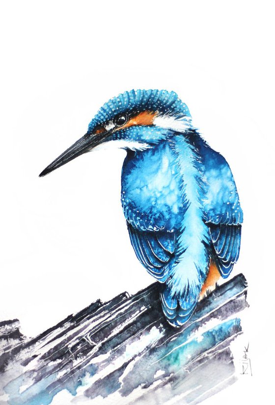 Kingfisher 21x30cm, birds, wildlife and animals watercolours