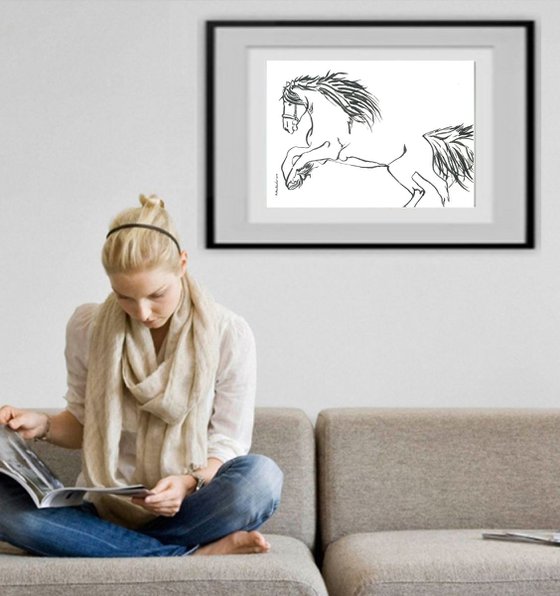 Horse I Animal Drawing