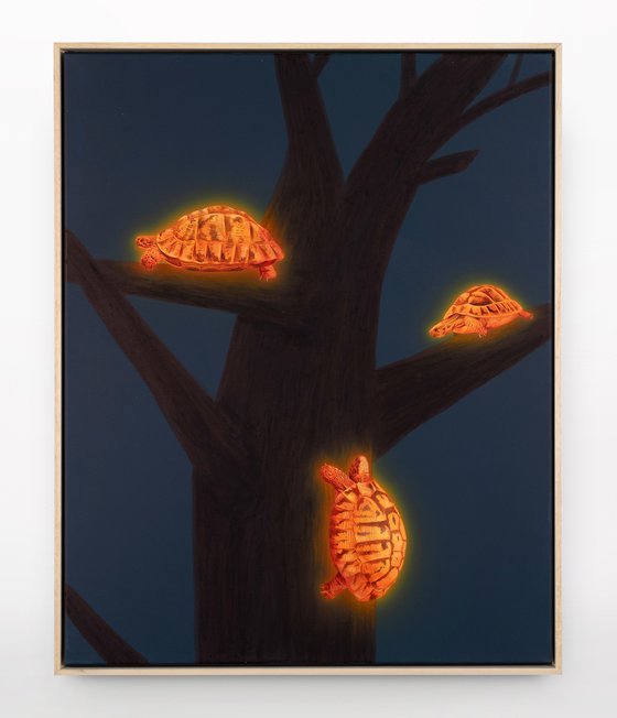 Barking Up the Wrong Tree