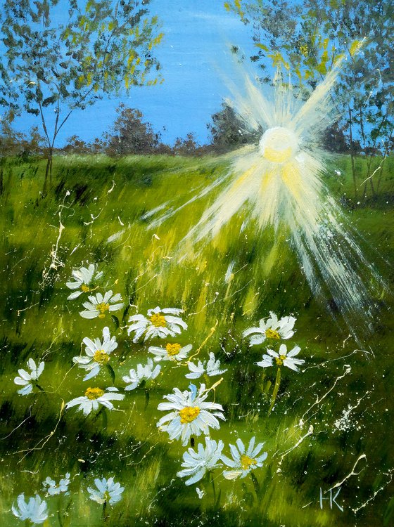 Daisy Painting Landscape Original Art Chamomile Oil Artwork Home Wall Art 12 by 16" by Halyna Kirichenko