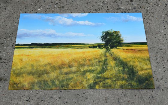 "Path through the field of wheat"   SPECIAL PRICE!!!