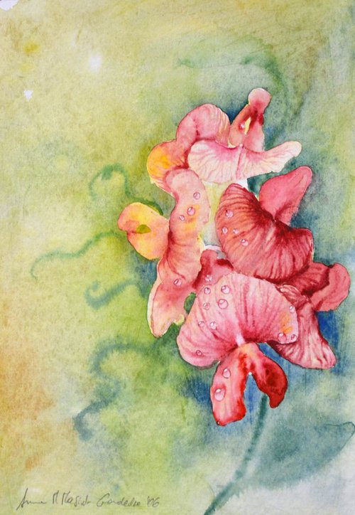 Spring Flowers 6 by Anna Masiul-Gozdecka
