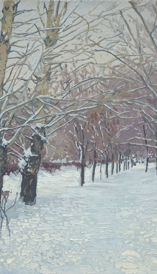 Snow-covered boulevard in Maryino by Simon Kozhin