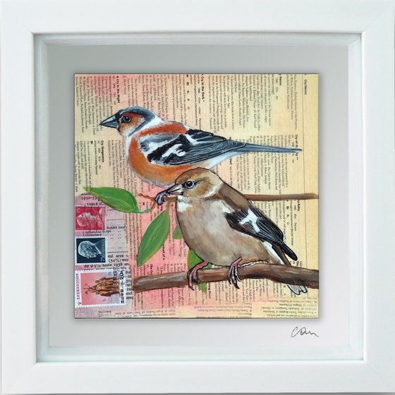 Chaffinches - Ornithology#2 - Framed ready to hang original painting