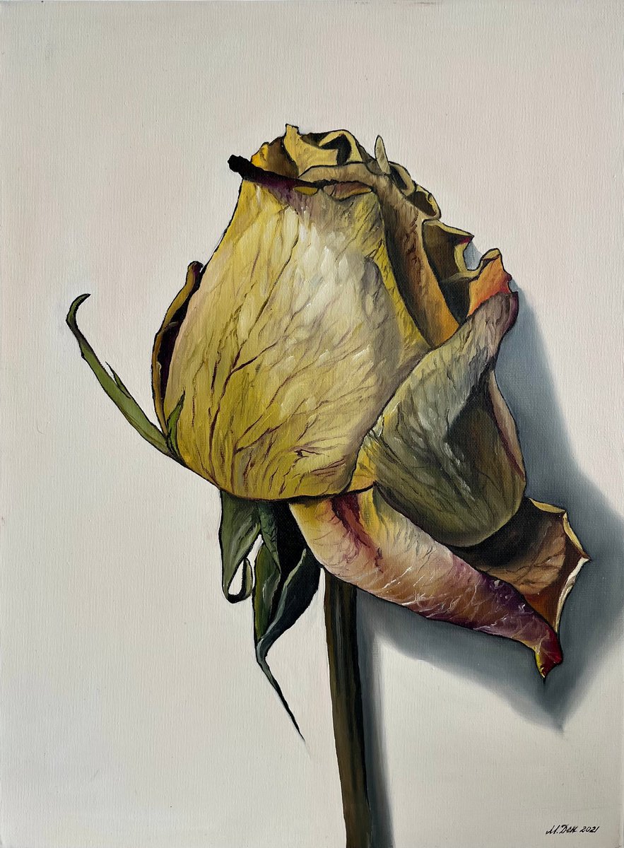 Photorealistic Botanical Oil Painting By Myroslava Denysyuk, 12 X 16", Autumn Vibes, Original Artwork