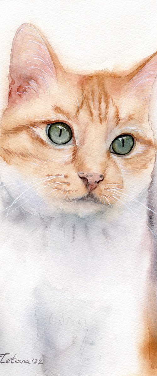 Cat portrait by Tetiana Koda