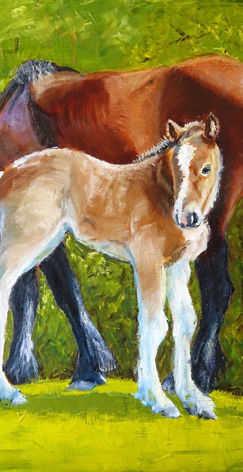 Horse and Foal by Marion Derrett