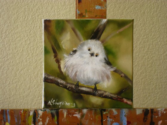 Fluffy white bird