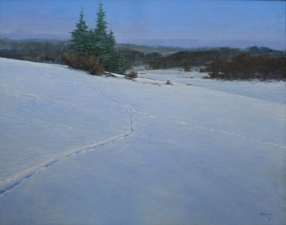 Snowlandscape