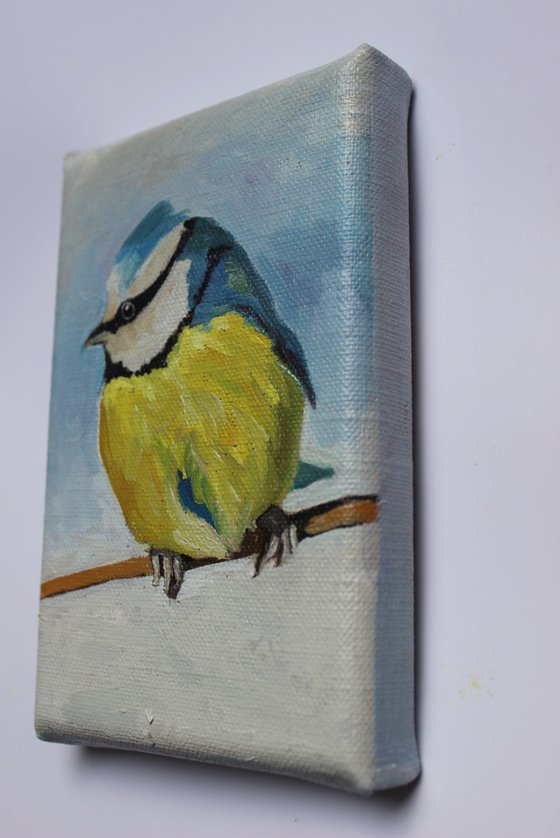 Wee Blue Tit