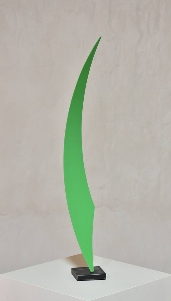 Organic Slimoïde