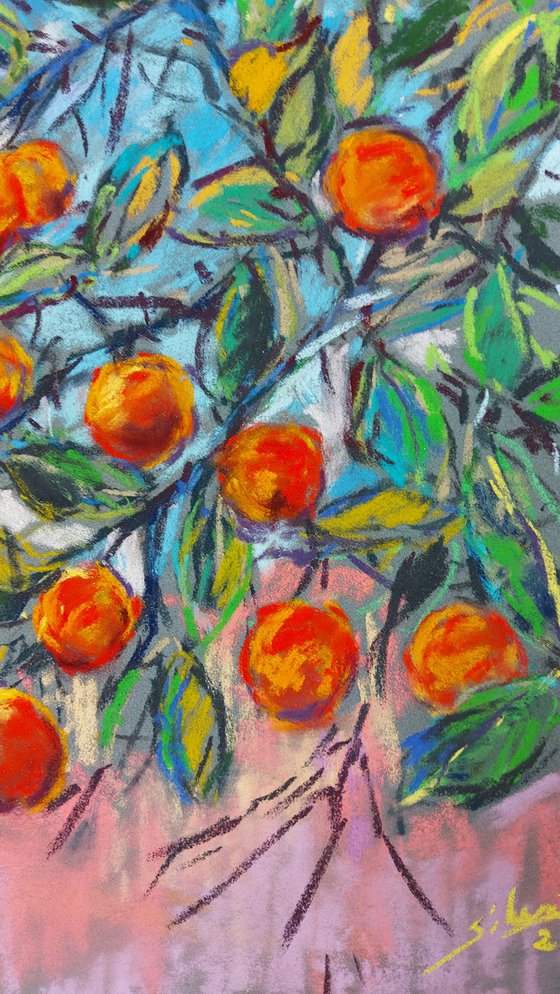 Orange tree