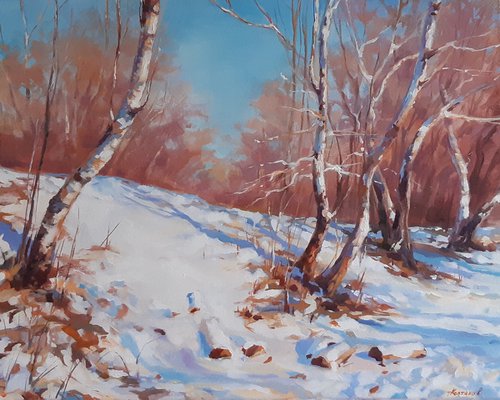Dancing on the snow (16x20'') by Alexander Koltakov