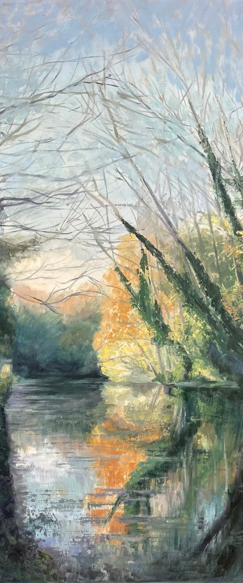 Flash of Sun Basingstoke Canal Woking by Hannah  Bruce