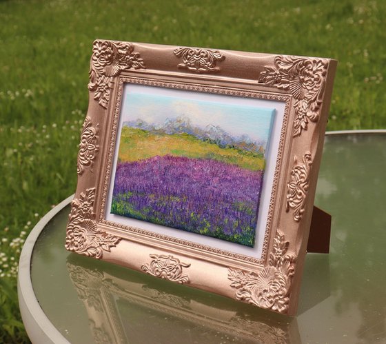 Lavender field framed