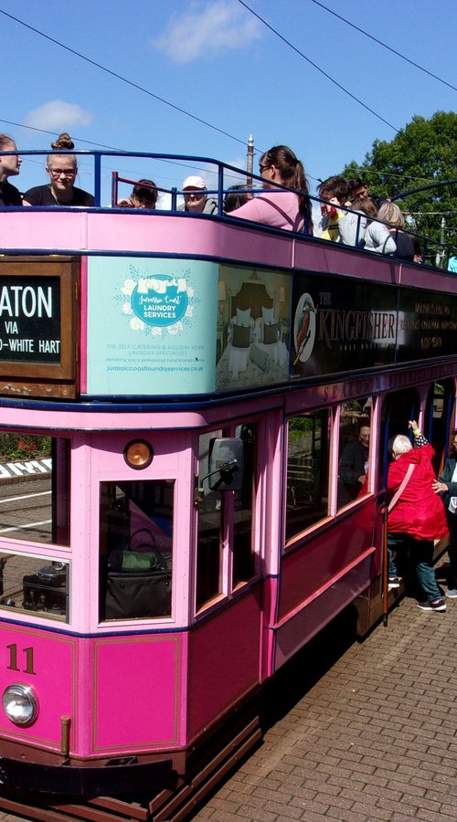 Pink tram at Seaton, Devon by Tim Saunders