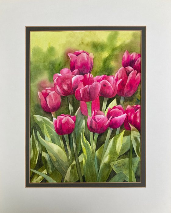 Spring Tulips