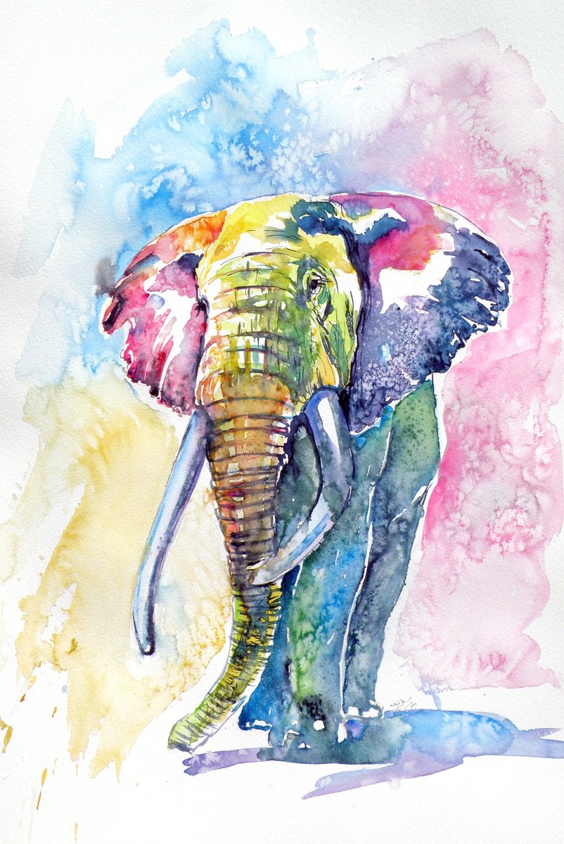 Impressionistic Watercolour , Colorful Elephant Iii By Kovacs Anna Brigitta, 15 X 22, Artwork For Sale On Artfinder