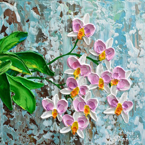 Orchid