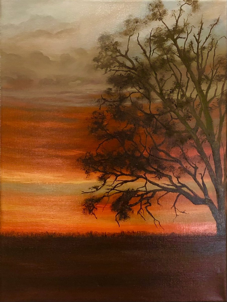 Impressionistic Landscape Oil Painting By Tamara Bettencourt, 12 X 16", California Skies, Original Artwork